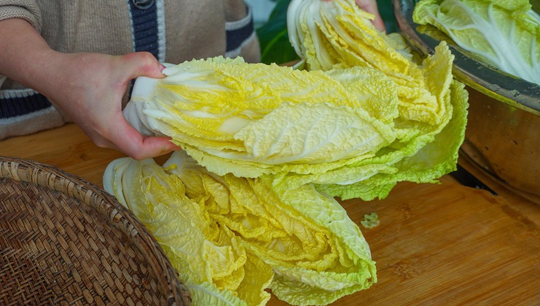  Loại rau cần ăn mạnh v&agrave;o m&ugrave;a đ&ocirc;ng, 1 nhuận tr&agrave;ng, 2 dưỡng da, 3 thải độc, phơi kh&ocirc; hầm si&ecirc;u thơm - Ảnh 5.