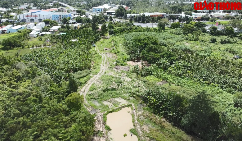 Xử l&yacute; b&atilde;i r&aacute;c lịch sử chắn cao tốc Cần Thơ &ndash; C&agrave; Mau - Ảnh 2.