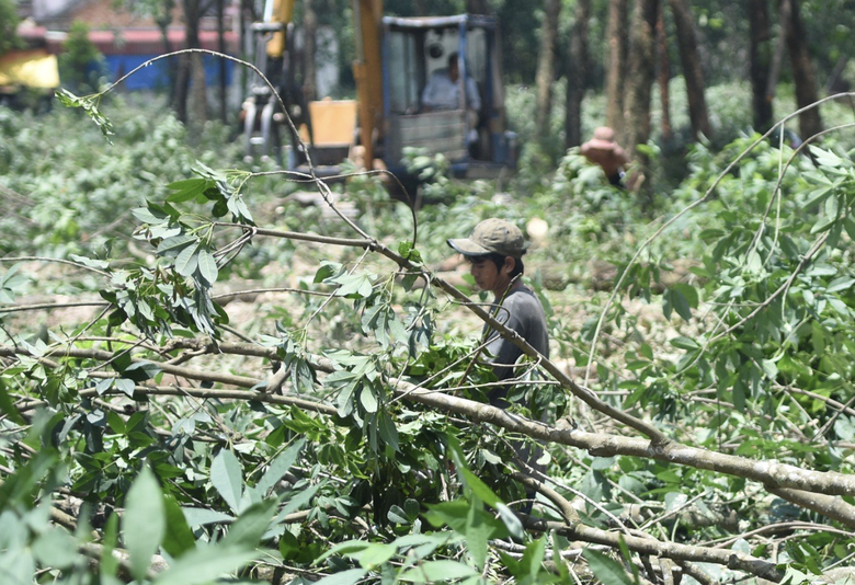 L&yacute; do chậm giải ph&oacute;ng mặt bằng cao tốc Bi&ecirc;n H&ograve;a - Vũng T&agrave;u - Ảnh 4.