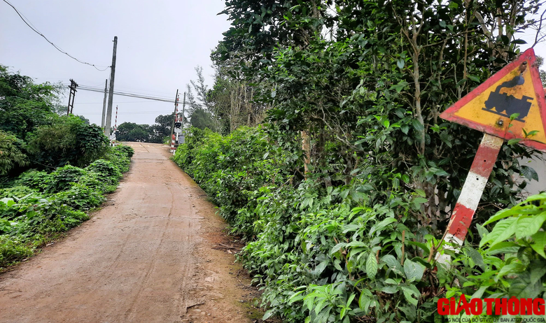 B&agrave;n giao mặt bằng sạch hạng mục cầu chui đường sắt ở Quảng Trị trước ng&agrave;y 15/9 - Ảnh 7.