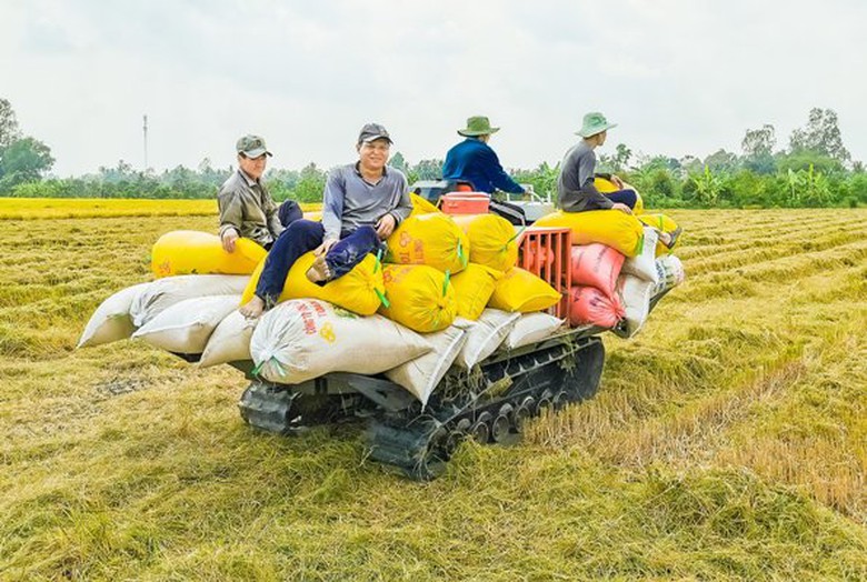 Nhận diện 4 điểm yếu để Đồng bằng s&ocirc;ng Cửu Long bức ph&aacute; - Ảnh 2.