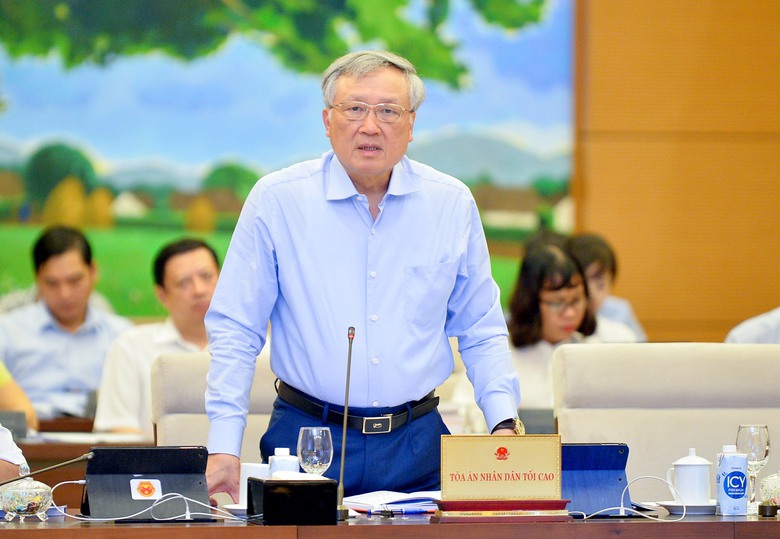 Ch&aacute;nh an TAND tố cao: Xử ly h&ocirc;n kh&ocirc;ng thể để vợ chồng như bị c&aacute;o nh&igrave;n l&ecirc;n hội đồng thẩm ph&aacute;n - Ảnh 1.