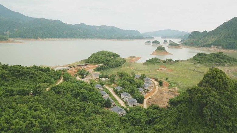 Bất cập "trồng rừng bằng tiền", ph&aacute; xong loay hoay trồng lại - Ảnh 1.