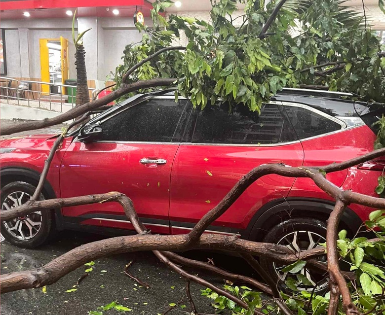 Nh&agrave; tốc m&aacute;i, c&acirc;y đổ đ&egrave; l&ecirc;n &ocirc; t&ocirc; sau trận mưa ở TP.HCM - Ảnh 3.