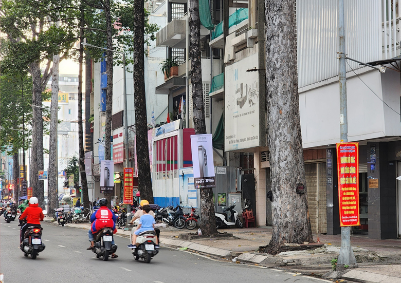 Đ&atilde; th&aacute;o cỏ nhựa quấn v&agrave;o cột điện tr&ecirc;n nhiều tuyến đường ở TP.HCM - Ảnh 1.