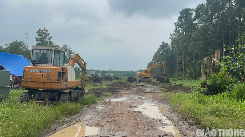 Nh&acirc;n lực l&agrave;m xuy&ecirc;n tuần để chạy đua giải ph&oacute;ng mặt bằng cao tốc Bi&ecirc;n Ho&agrave; - Vũng T&agrave;u - Ảnh 2.
