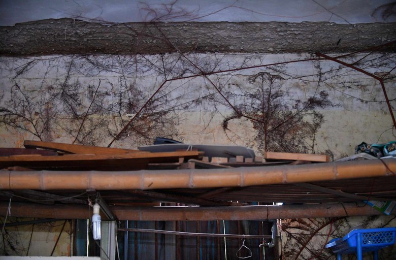 Hơn trăm hộ dân "sống mòn" trong khu tập thể nhà máy chế tạo bơm - Ảnh 12. Hơn trăm hộ dân "sống mòn" trong khu tập thể nhà máy chế tạo bơm - Ảnh 12.