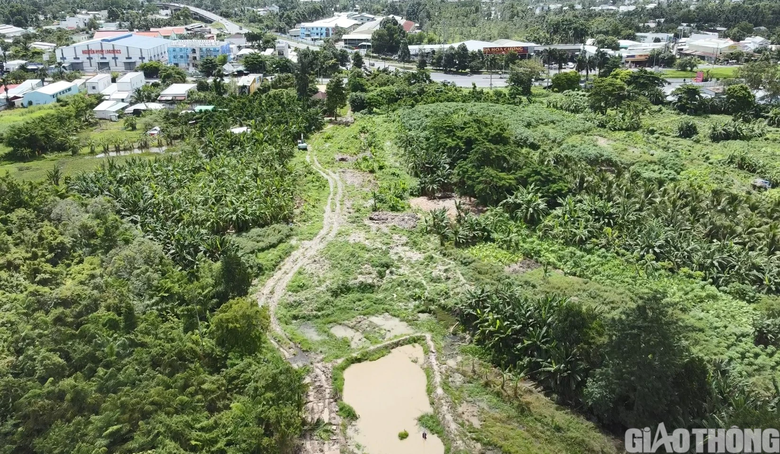 Giao quận C&aacute;i Răng chủ tr&igrave; di dời b&atilde;i r&aacute;c chắn cao tốc Cần Thơ &ndash; C&agrave; Mau - Ảnh 2.