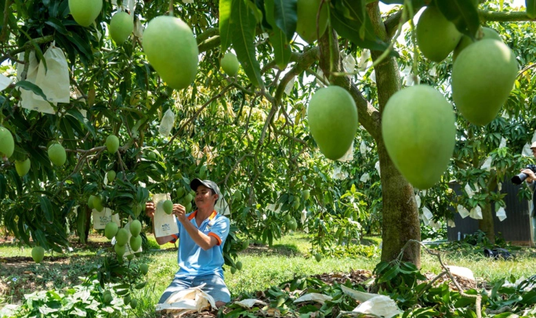 Tuyến phố ẩm thực xo&agrave;i th&agrave;nh phố Cao L&atilde;nh, tiền đề để xo&agrave;i Đồng Th&aacute;p vươn xa - Ảnh 9.