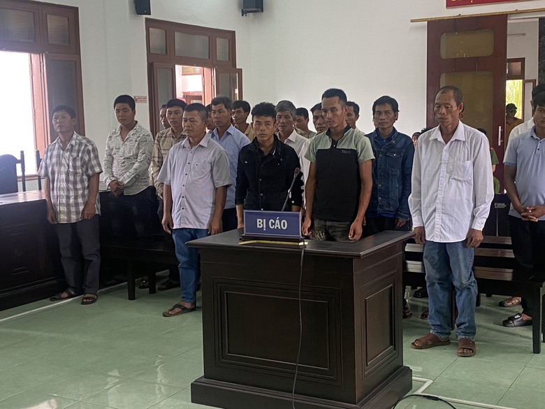 27 bị c&aacute;o l&atilde;nh &aacute;n v&igrave; ph&aacute; rừng lấy đất trồng keo - Ảnh 1.