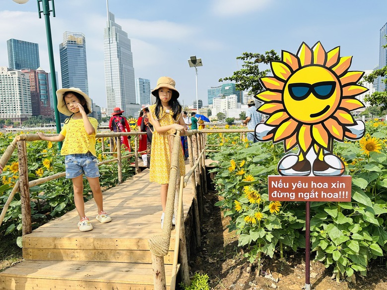 Người d&acirc;n đội nắng check-in vườn hướng dương đẹp nhất S&agrave;i G&ograve;n- Ảnh 6.