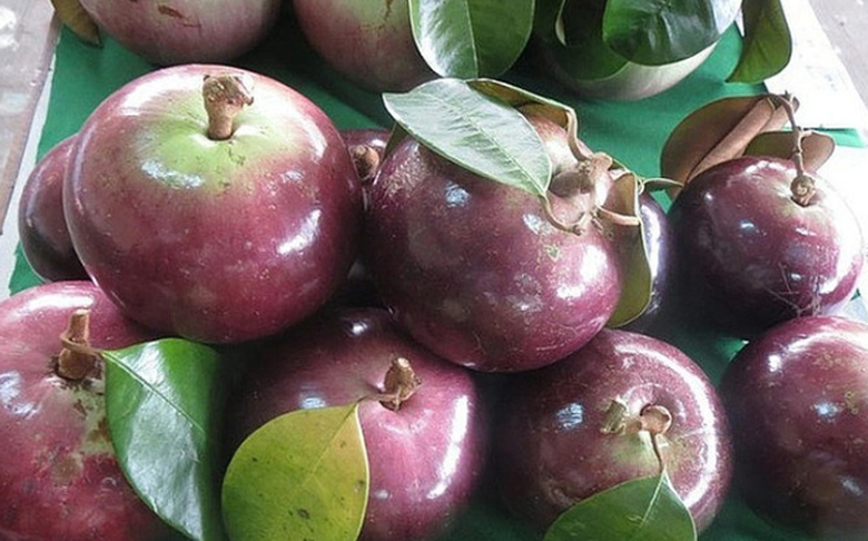 Loại quả tr&ograve;n căng ngọt lịm c&oacute; chỉ số đường huyết cực thấp, ai cũng th&iacute;ch ăn- Ảnh 4.