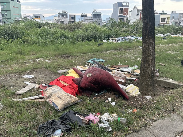 Đ&agrave; Nẵng: T&aacute;i diễn nạn đổ r&aacute;c thải ngổn ngang ở khu đ&ocirc; thị Phước L&yacute;- Ảnh 4.
