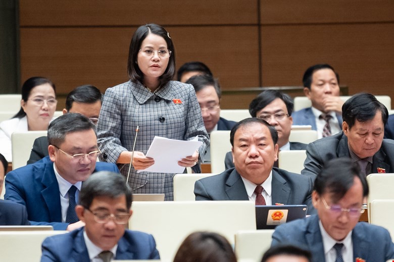 ĐBQH tranh luận về quy định bảng gi&aacute; đất hằng năm - Ảnh 2.