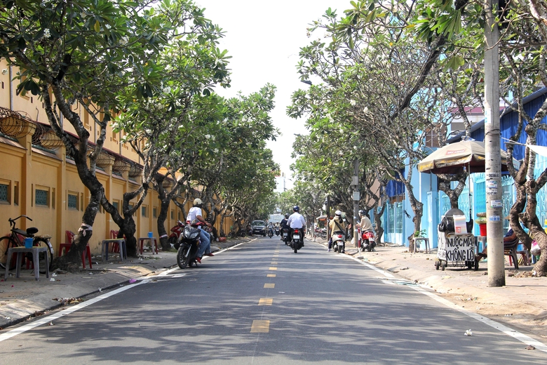 Nhiều tuyến đường ở Cần Thơ "kho&aacute;c &aacute;o mới" đ&oacute;n tết Gi&aacute;p Th&igrave;n 2024- Ảnh 6.