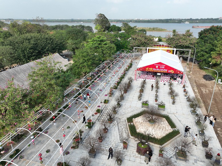 Du kh&aacute;ch th&iacute;ch th&uacute; với hội thi hoa đ&agrave;o lần đầu tổ chức ở Thủ đ&ocirc;- Ảnh 1.