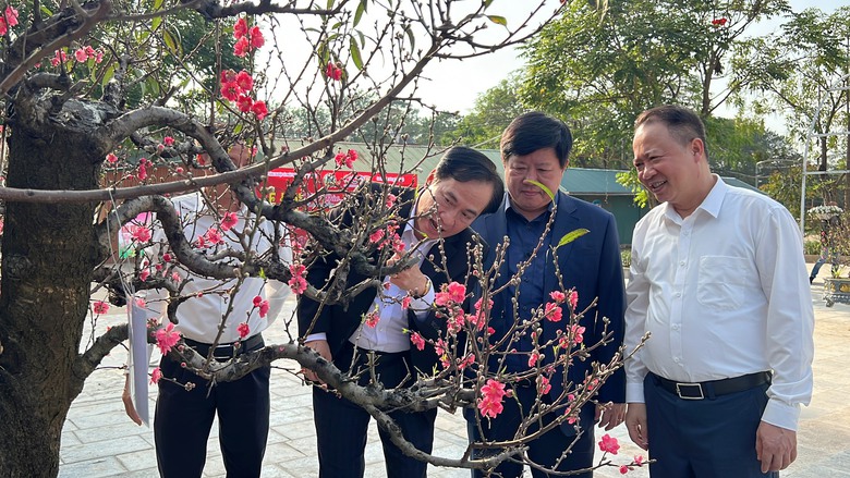 Du kh&aacute;ch th&iacute;ch th&uacute; với hội thi hoa đ&agrave;o lần đầu tổ chức ở Thủ đ&ocirc;- Ảnh 10.