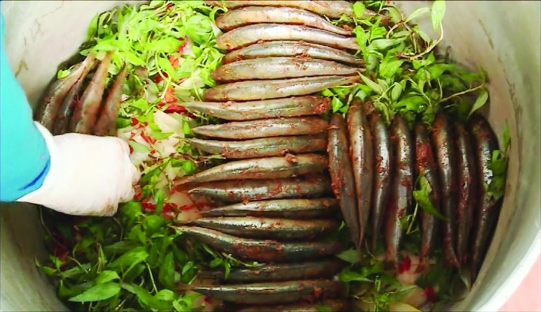 Loại c&aacute; b&eacute; x&iacute;u thơm ngon, gi&agrave;u dinh dưỡng v&agrave; Omega 3 rất tốt cho tim mạch- Ảnh 1.