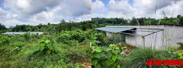 C&ocirc;ng tr&igrave;nh tr&aacute;i ph&eacute;p tr&ecirc;n đất n&ocirc;ng nghiệp vẫn nằm "bất động" ở cao tốc Vạn Ninh - Cam Lộ- Ảnh 3.