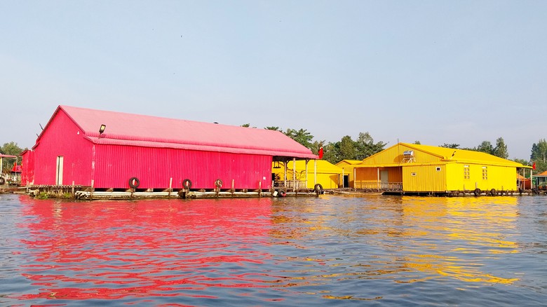 L&agrave;ng b&egrave; đa sắc m&agrave;u - Điểm du lịch miệt s&ocirc;ng độc đ&aacute;o ở An Giang- Ảnh 3.