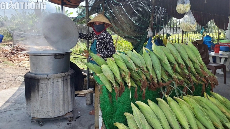 N&ocirc;ng d&acirc;n Bạc Li&ecirc;u tr&uacute;ng m&ugrave;a bắp, hứa hẹn đ&oacute;n Tết sung t&uacute;c, ấm no- Ảnh 8.