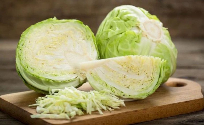 Bắp cải vừa ngon, vừa l&agrave; b&agrave;i thuốc rẻ, nhưng ai kh&ocirc;ng n&ecirc;n ăn?- Ảnh 1.