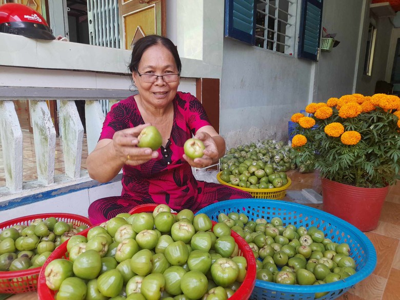 Mướt xanh vườn mận đường 22 năm tuổi giữa TP S&oacute;c Trăng- Ảnh 1.