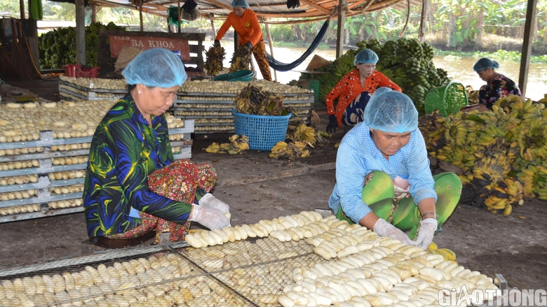 L&agrave;ng nghề &eacute;p chuối kh&ocirc; nổi tiếng C&agrave; Mau tất bật v&agrave;o vụ Tết- Ảnh 3.