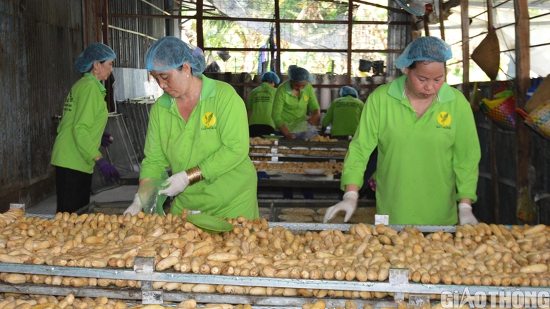 L&agrave;ng nghề &eacute;p chuối kh&ocirc; nổi tiếng C&agrave; Mau tất bật v&agrave;o vụ Tết- Ảnh 5.