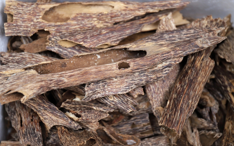 Về l&agrave;ng đẽo c&acirc;y t&igrave;m trầm nức tiếng ở H&agrave; Tĩnh- Ảnh 6.