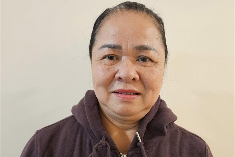 Chủ tịch C&ocirc;ng ty TNHH Thủy bộ Hải H&agrave; Trần Tuyết Mai bị bắt- Ảnh 1.