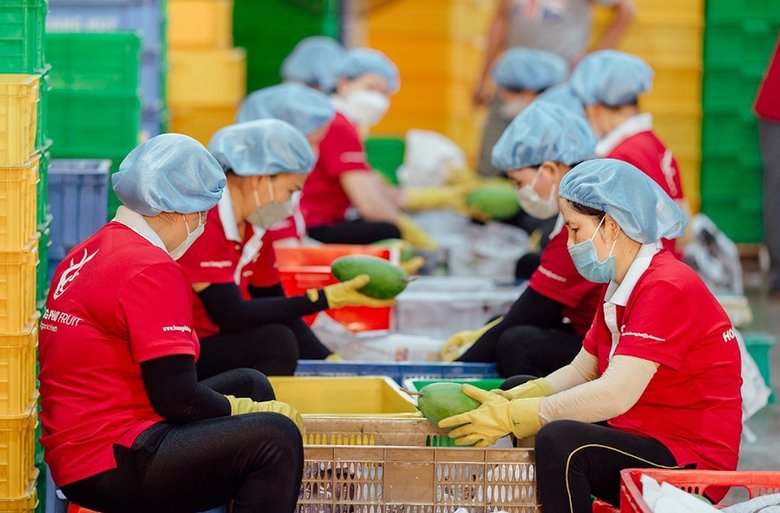 Dưa hấu rộng đường xuất khẩu sang Trung Quốc- Ảnh 3.
