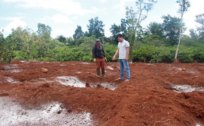 Ch&agrave;ng trai &Ecirc; Đ&ecirc; l&agrave;m gi&agrave;u từ c&agrave; ph&ecirc; mộc- Ảnh 2.