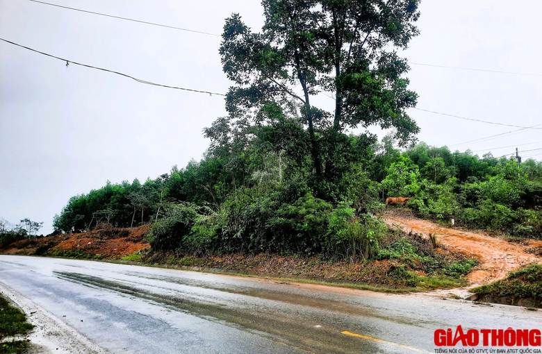 Ngổn ngang c&aacute;c khu t&aacute;i định cư cao tốc Bắc - Nam qua Quảng Trị - Ảnh 2.