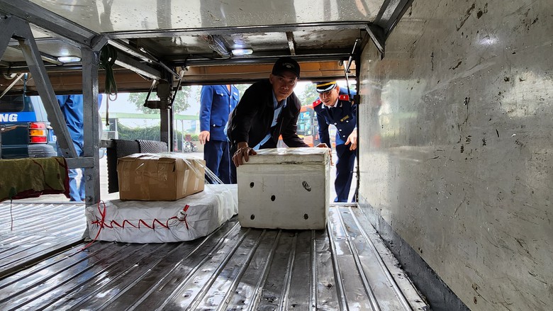 Nghệ An: Quyết liệt xử l&yacute; vi phạm giao th&ocirc;ng ngay từ đầu năm- Ảnh 2.