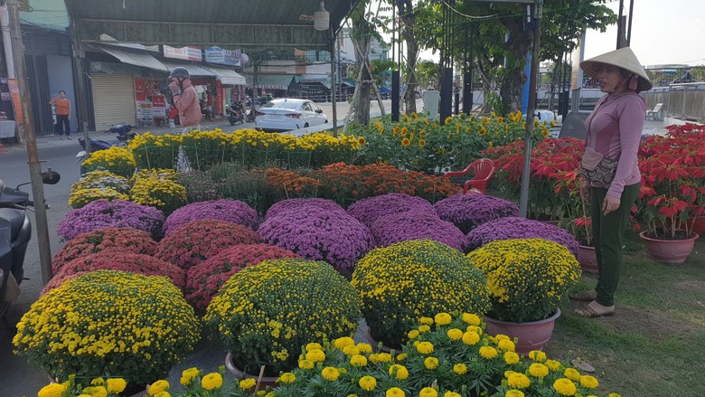 Giảm số lượng hoa Tết, người trồng đủng đỉnh đưa hoa l&ecirc;n chợ- Ảnh 4.