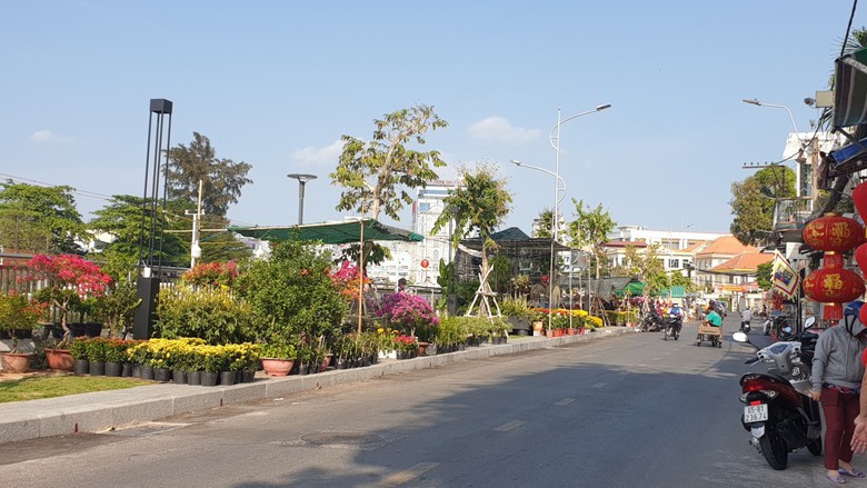 Giảm số lượng hoa Tết, người trồng đủng đỉnh đưa hoa l&ecirc;n chợ- Ảnh 1.
