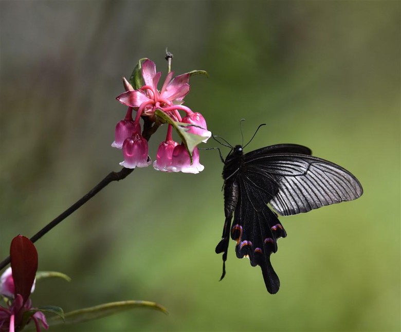 C:\Users\haht02\AppData\Local\Microsoft\Windows\INetCache\Content.Word\dao chuong (4).jpg