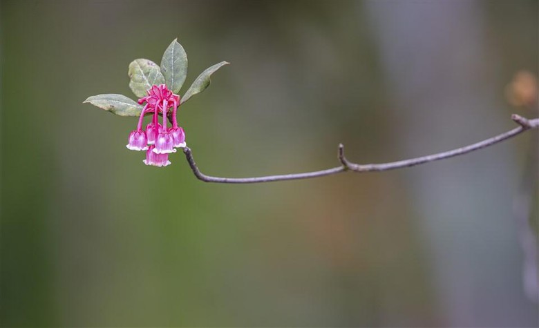 C:\Users\haht02\Desktop\Dao chuong rz\dao chuong (6).jpg