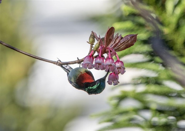 C:\Users\haht02\AppData\Local\Microsoft\Windows\INetCache\Content.Word\dao chuong (10).jpg