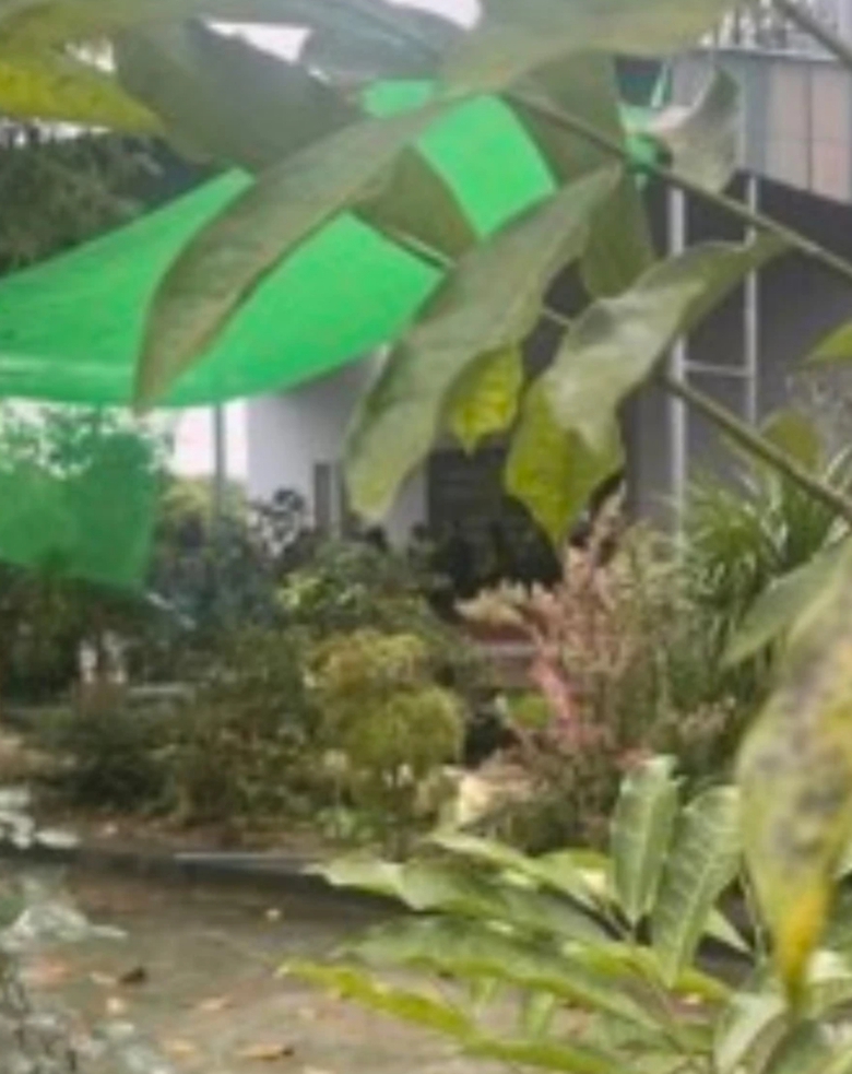 Quảng Ninh: Người phụ nữ tử vong với nhiều vết thương trong ph&ograve;ng ngủ- Ảnh 1.