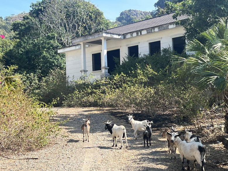 Hải Ph&ograve;ng: Lạ l&ugrave;ng loạt biệt thự ở khu du lịch th&agrave;nh nơi nu&ocirc;i d&ecirc;- Ảnh 1.