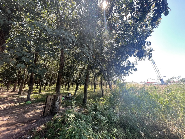 Tạm dừng lưu th&ocirc;ng qua hầm chui cao tốc Long Th&agrave;nh để thi c&ocirc;ng cao tốc Bi&ecirc;n H&ograve;a - Vũng T&agrave;u- Ảnh 2.