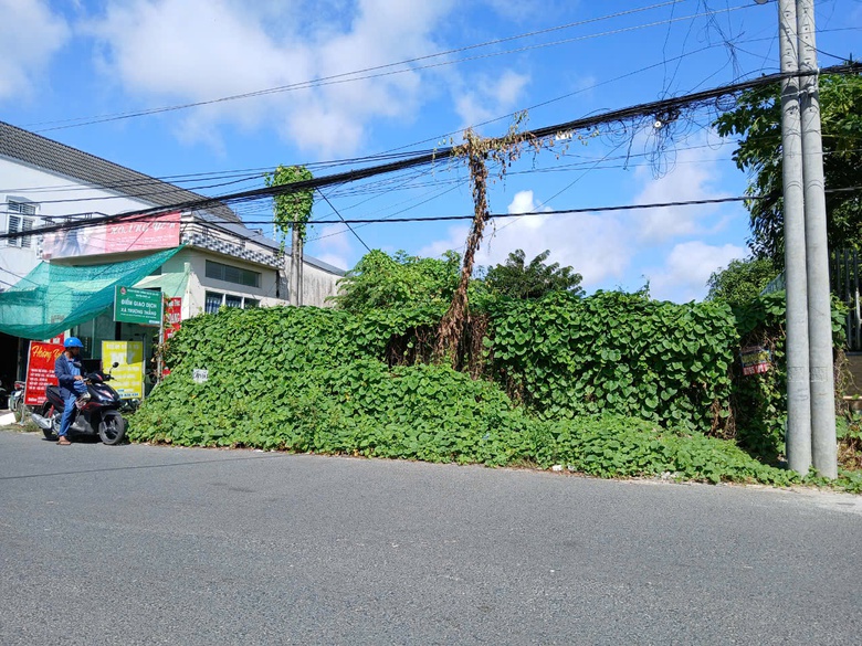 V&igrave; sao giải ph&oacute;ng mặt bằng cầu Thới Lai bị chậm?- Ảnh 2.