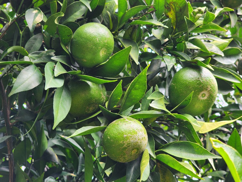Đầu tư hạ tầng tạo đột ph&aacute; ph&aacute;t triển H&ograve;a B&igrave;nh - Ảnh 3.