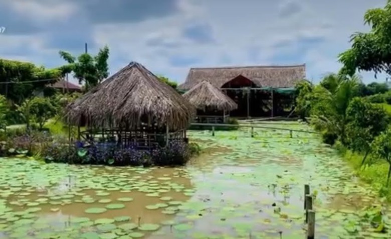 Đ&atilde; th&aacute;o dỡ khu sinh th&aacute;i x&acirc;y dựng tr&aacute;i ph&eacute;p ở Long An sau khi B&aacute;o Giao th&ocirc;ng phản &aacute;nh- Ảnh 2.