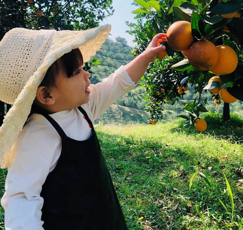 Đầu tư hạ tầng tạo đột ph&aacute; ph&aacute;t triển H&ograve;a B&igrave;nh - Ảnh 1.