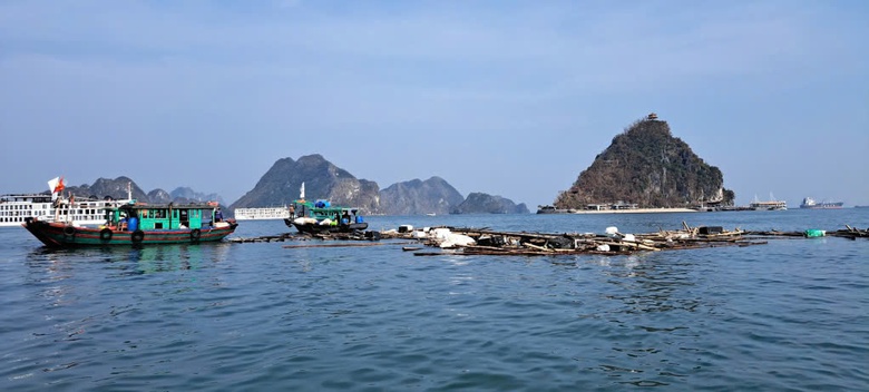 An to&agrave;n giao th&ocirc;ng vịnh Hạ Long được kh&ocirc;i phục, duy tr&igrave; sau b&atilde;o Yagi- Ảnh 1.