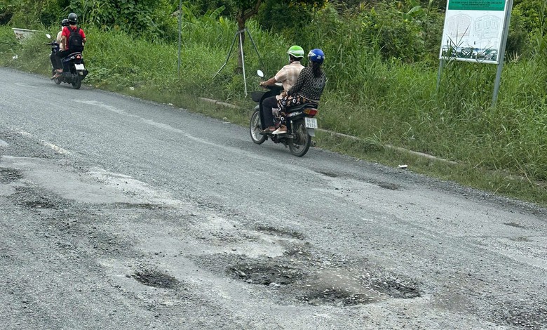 Cần Thơ: Xử l&yacute; dứt điểm t&igrave;nh trạng ổ g&agrave; d&agrave;y đặc tr&ecirc;n đường Nguyễn Văn Cừ nối d&agrave;i- Ảnh 2.