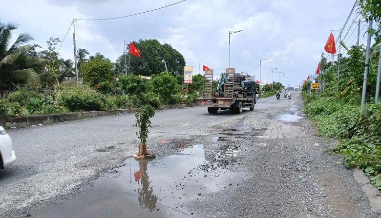 Cần Thơ: Xử l&yacute; dứt điểm t&igrave;nh trạng ổ g&agrave; d&agrave;y đặc tr&ecirc;n đường Nguyễn Văn Cừ nối d&agrave;i- Ảnh 1.